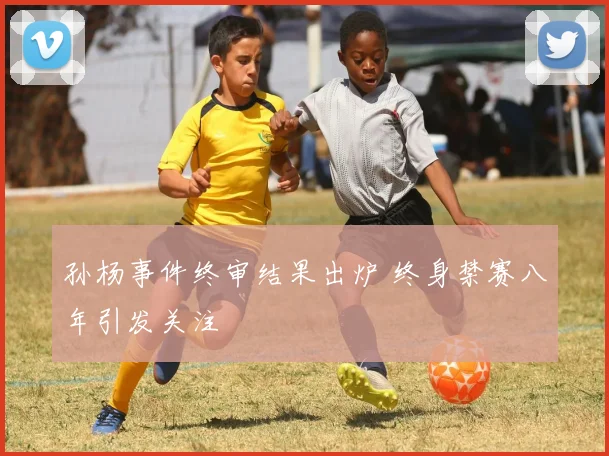 孙杨事件终审结果出炉 终身禁赛八年引发关注